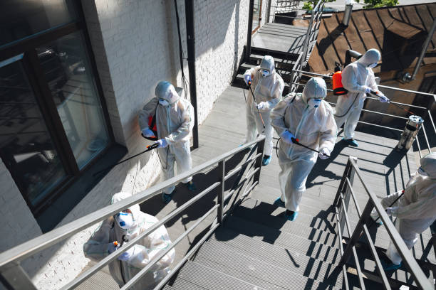 Best Forensic Mold Investigation  in Williamson, AZ