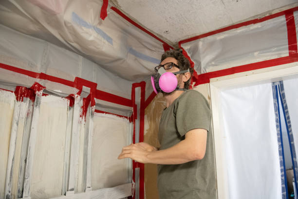 Best Flood Damage  in Williamson, AZ