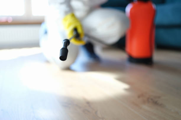 Best Airborne Mold Testing  in Williamson, AZ