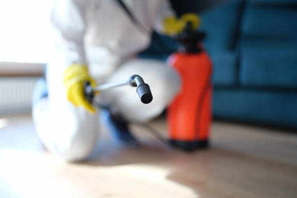 Best Environmental Consulting for Mold Prevention  in Williamson, AZ