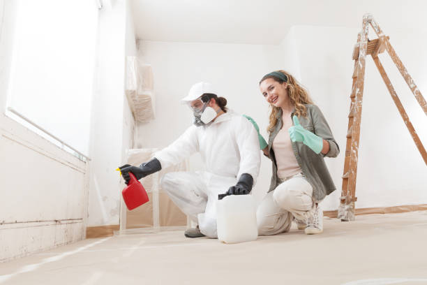 Environmental Consulting for Mold Prevention in Williamson, AZ