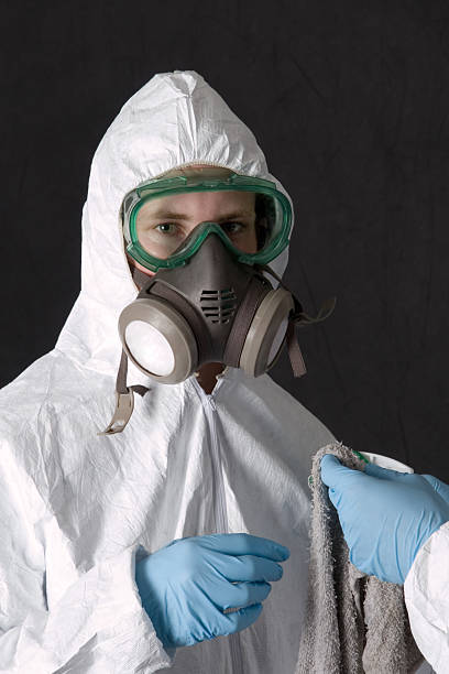 Best Post-Construction Mold Inspection  in Williamson, AZ